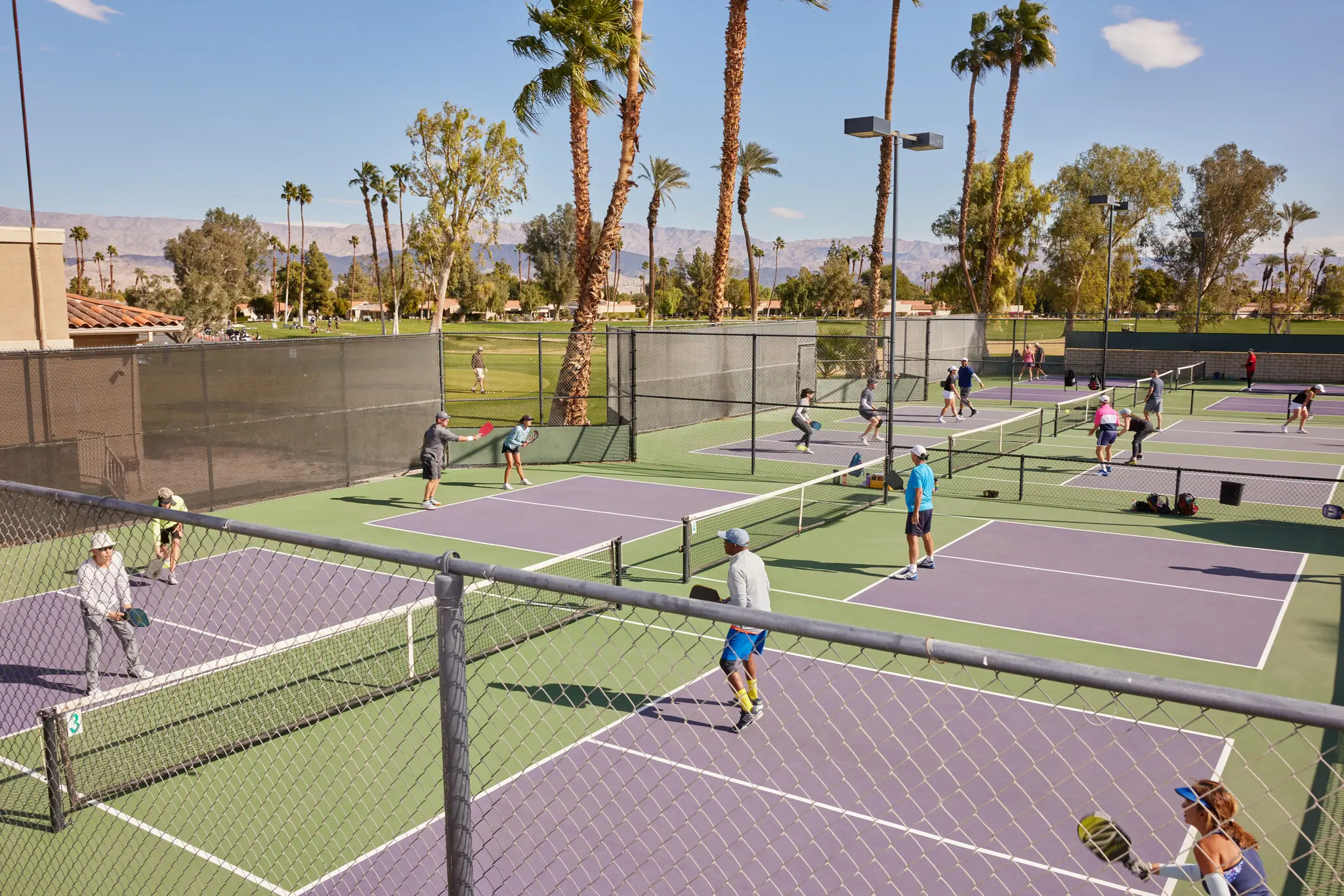 Top 5 Beginner Pickleball Paddles Under $100